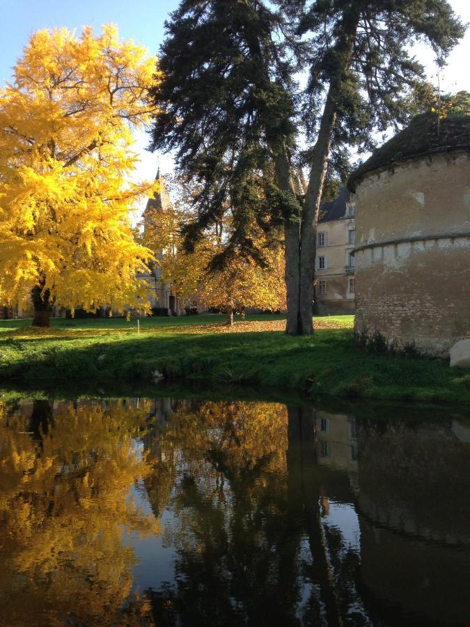 Chateau De Bresse Sur Grosne Buitenkant foto